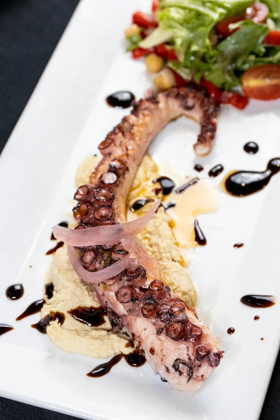 Grilled octopus over hummus